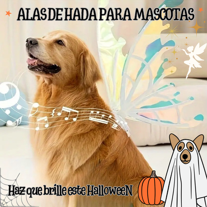 Alas de Hada para Mascotas – ¡Haz que tu peludito brille este Halloween!