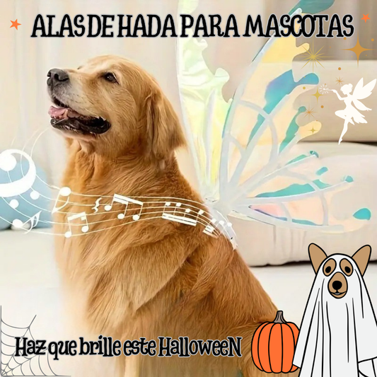 Alas de Hada para Mascotas – ¡Haz que tu peludito brille este Halloween!