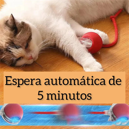 COMBO Pelota Interactiva + Guante Quita Motas | Tu gato feliz, tu casa sin pelos