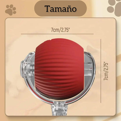 COMBO Pelota Interactiva + Guante Quita Motas | Tu gato feliz, tu casa sin pelos