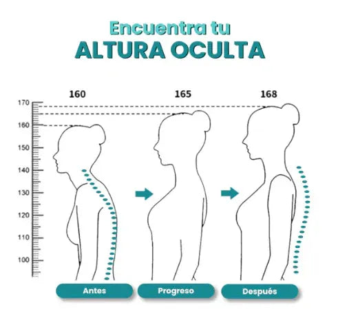Faja Térmica Correctora de Postura